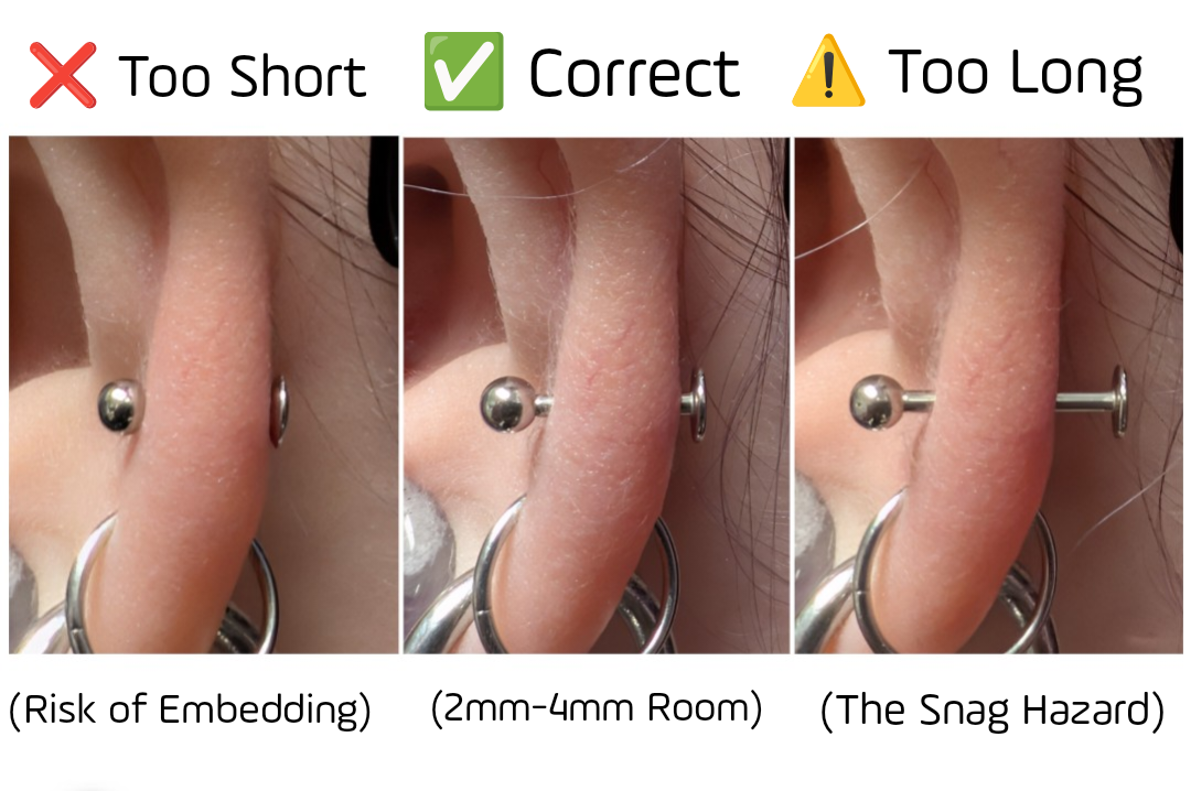 Comparison of three safe initial piercing jewelry lengths in a 6mm earlobe: too short (6mm), ideal starter length (8mm), and excessively long (11mm) showing the 2–4mm safety buffer.